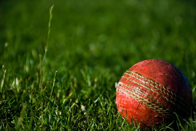 SMS स्टेडियम में होगा Celebrity Cricket League, 100 से ज्यादा फिल्मी सितारे और नेता खेलेंगे T-20 मैच